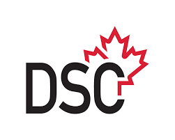 DSC International School